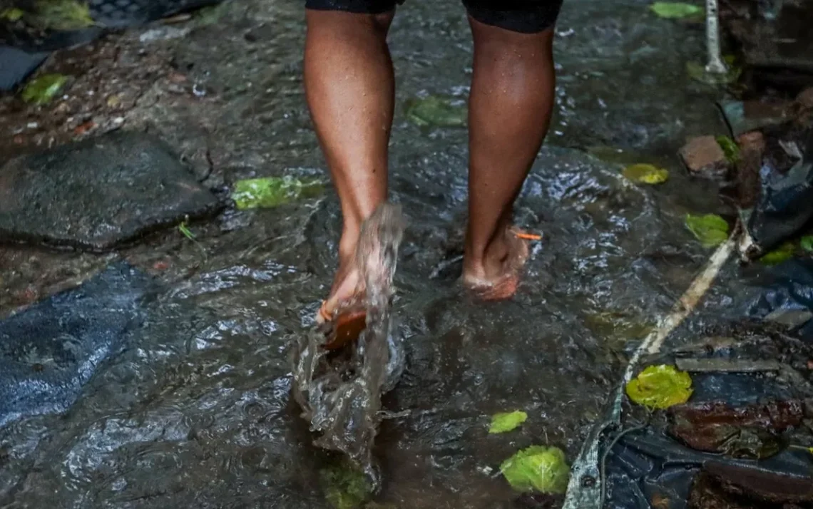 risco, doenças infecciosas;