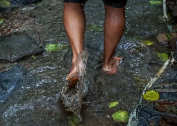 risco, doenças infecciosas;