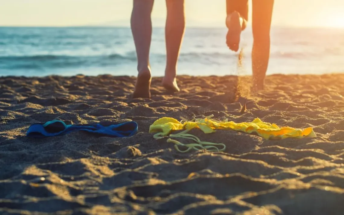 praia, naturista, praia, nudista