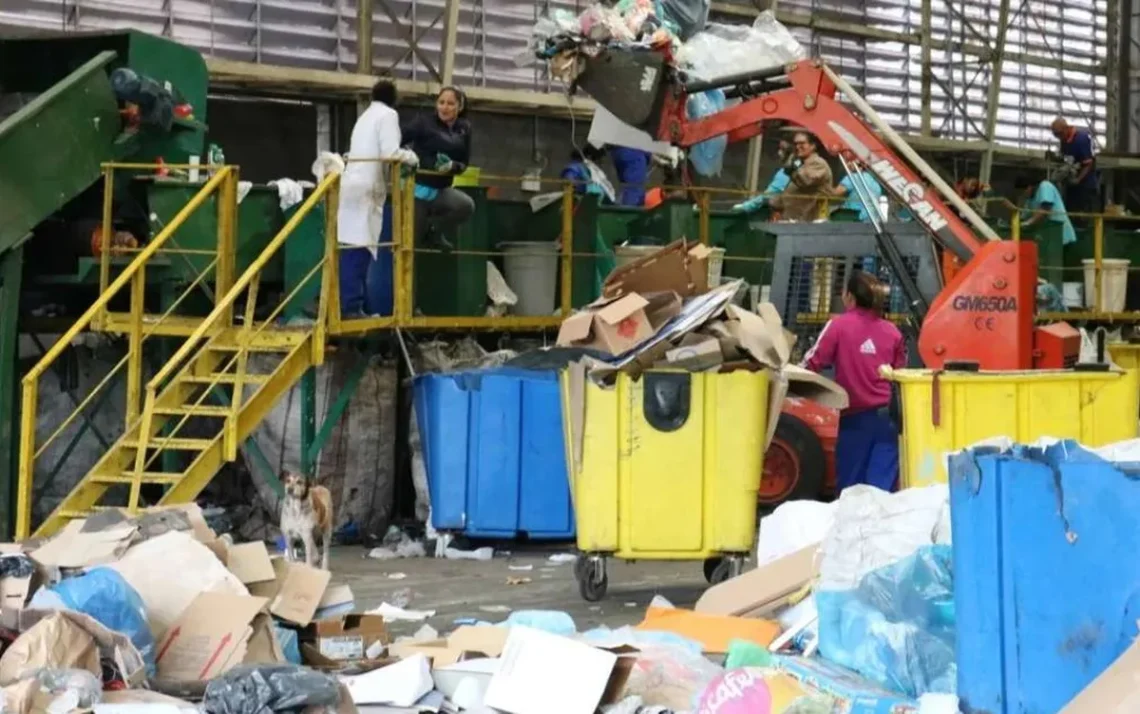 cooperativas de reciclagem, categoria, profissionais da reciclagem;