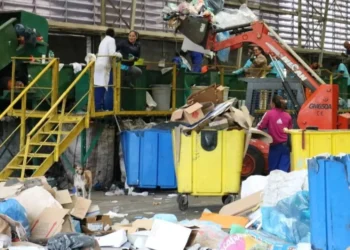 cooperativas de reciclagem, categoria, profissionais da reciclagem;