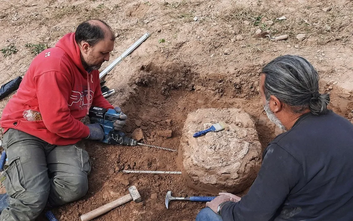 fossil, achados, descoberta;