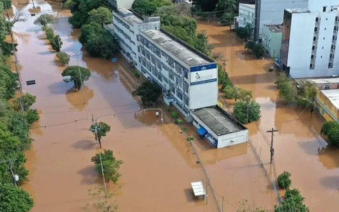 reforma escolar, reforma escolar, melhoria escolar, renovação de instituições;