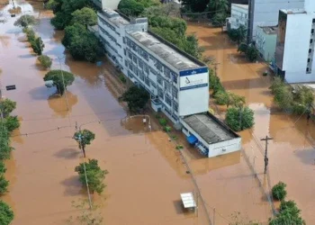 reforma escolar, reforma escolar, melhoria escolar, renovação de instituições;