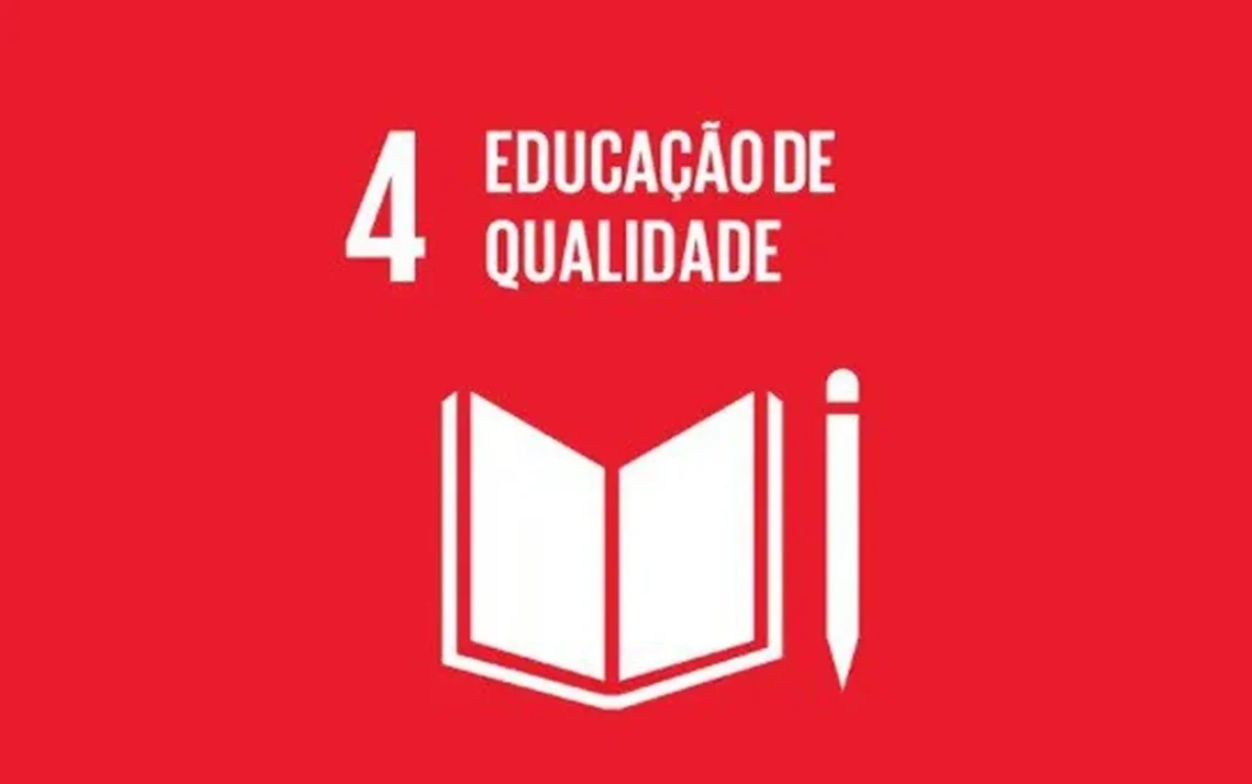 ensino, formação, aprendizado;