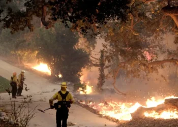 queimadas, focos, de incêndio, chamas;