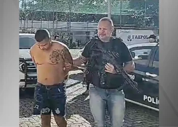 Grupo Armado, Organização Criminosa, Grupo Paramilitar;