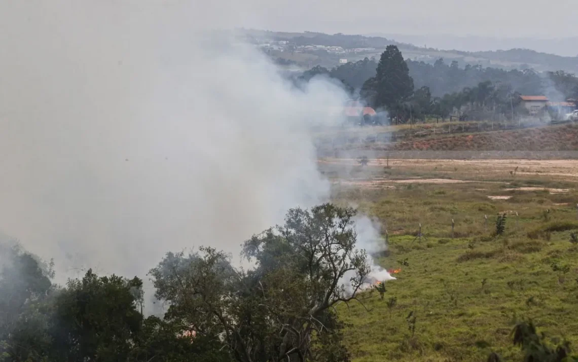 focos, de queimadas, incendiar, um pasto, área, de preservação, permanente;