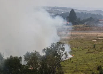 focos, de queimadas, incendiar, um pasto, área, de preservação, permanente;