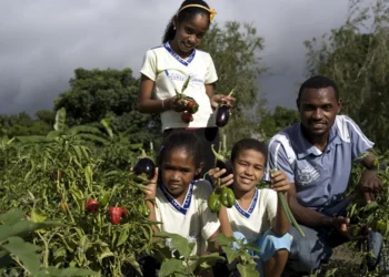 Mudanças climáticas, degradação do meio ambiente, catástrofes climáticas;