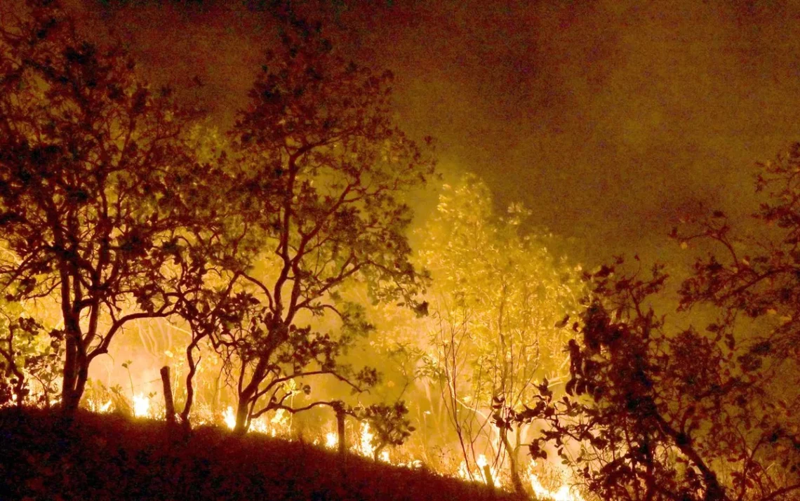 incêndios, focos, chamas, área incendiada;