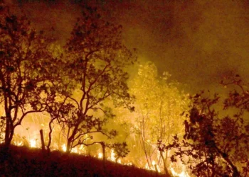 incêndios, focos, chamas, área incendiada;