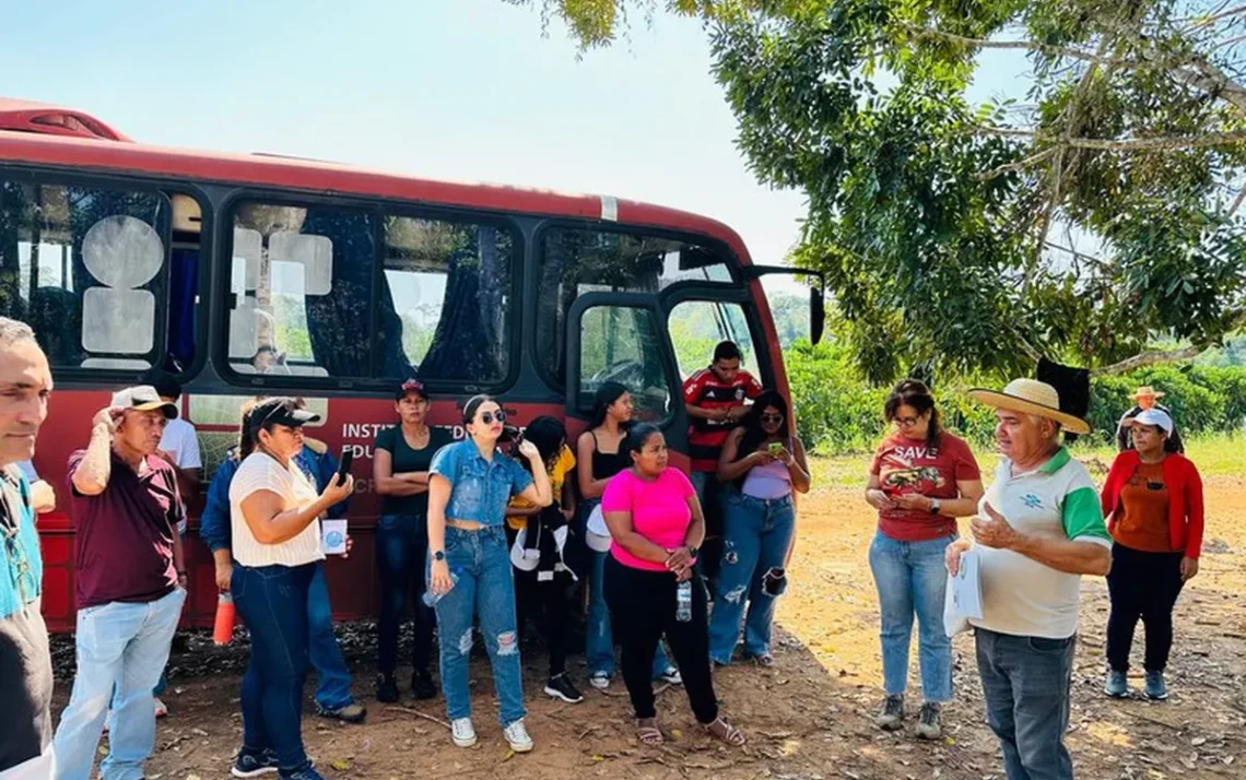 Ministério, da Educação, Programa, Nacional de, Acesso ao, Ensino Técnico, e Emprego, Secretaria, de Educação, Profissional e, Tecnológica, Pronatec, Profissionais, do Futuro, Bioeconomia, Agricultura, Amazônia, Legal;