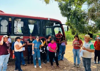 Ministério, da Educação, Programa, Nacional de, Acesso ao, Ensino Técnico, e Emprego, Secretaria, de Educação, Profissional e, Tecnológica, Pronatec, Profissionais, do Futuro, Bioeconomia, Agricultura, Amazônia, Legal;