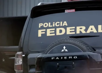 Ator malicioso, Cibercriminoso, Invasor de sistemas;