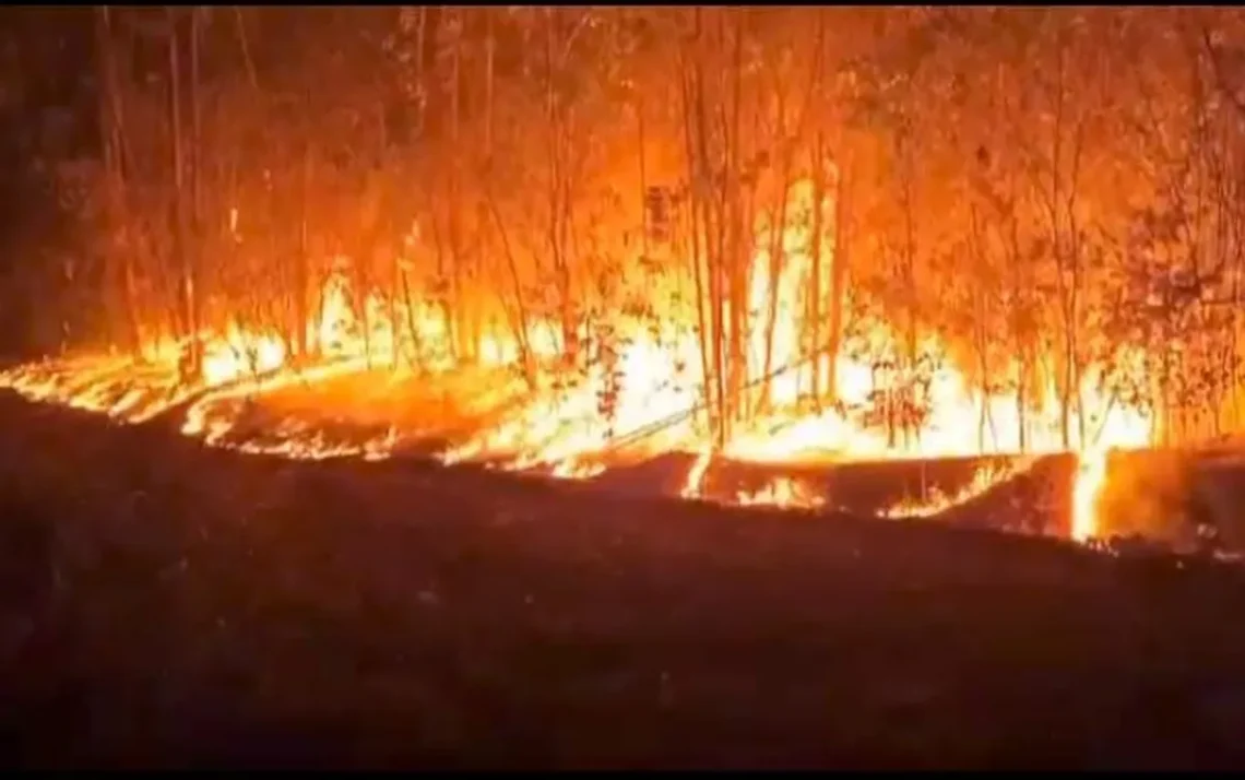 fogo, queimadas, incêndios;