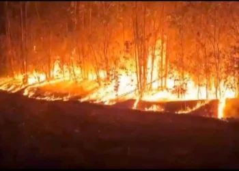 fogo, queimadas, incêndios;