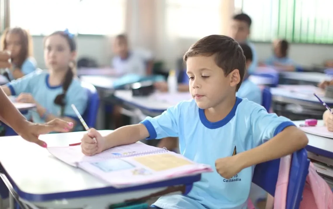 Ministério, da Educação, política, educacional, Segape;