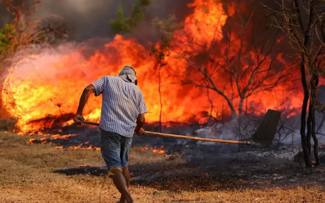 incêndios, fogo, queimados, incêndios florestais';