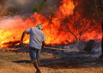 incêndios, fogo, queimados, incêndios florestais';