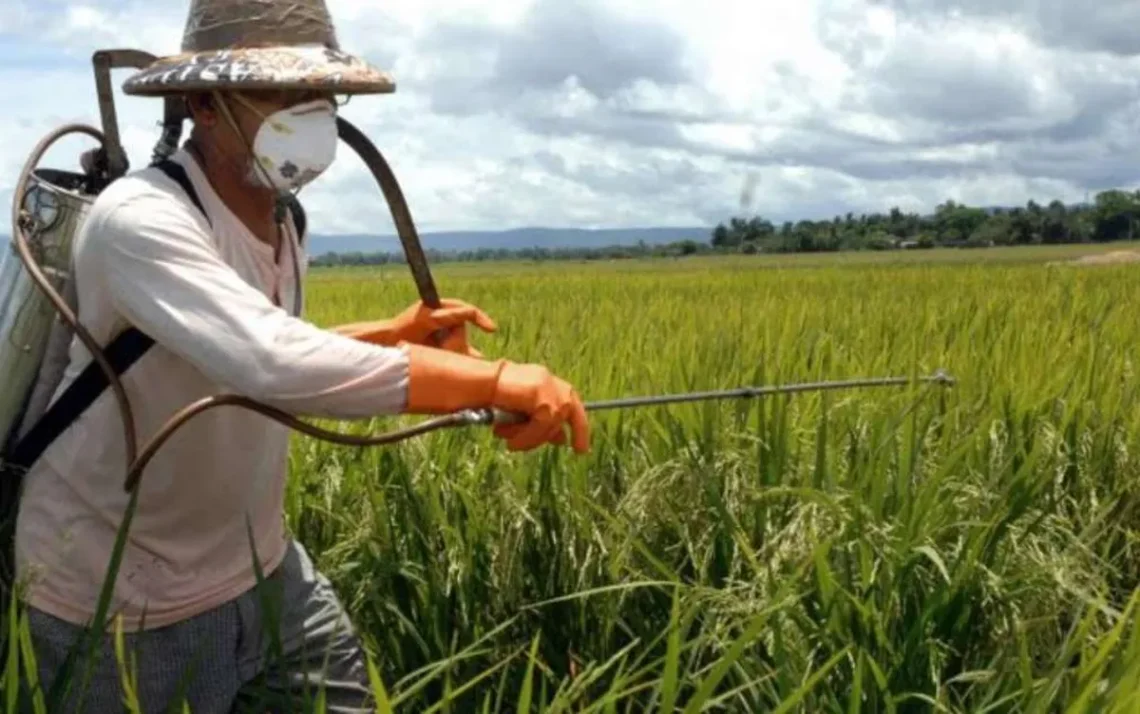 produção, de alimentos, agricultura, mecanizada;