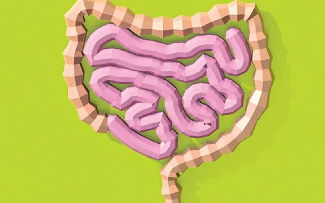 saúde, intestinal, saúde, do intestino, intestino, saudável;