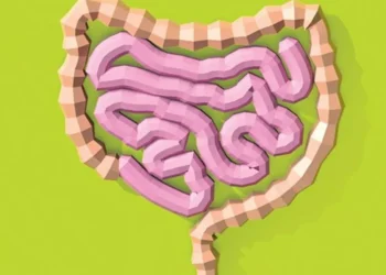 saúde, intestinal, saúde, do intestino, intestino, saudável;