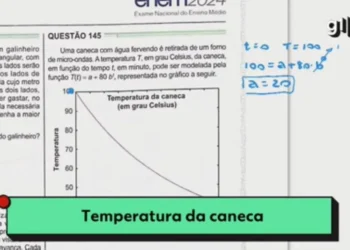 professor, docente, educador;