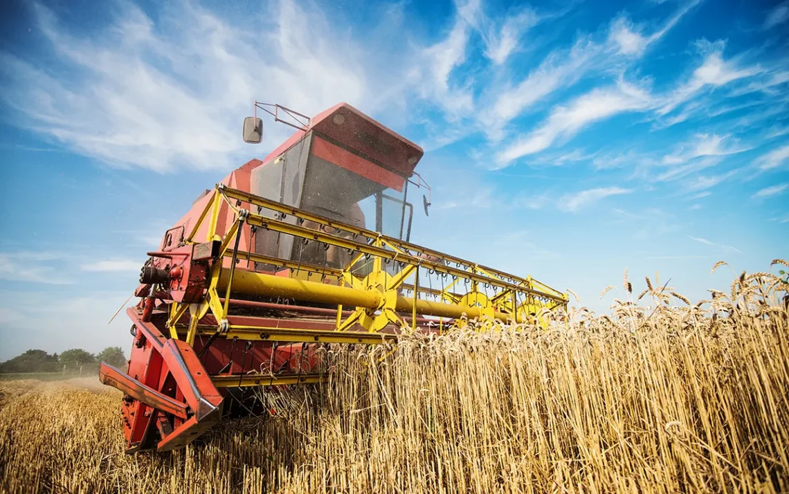 produção, agrícola, setor, produtivo, atividade, agrícola;