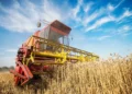 produção, agrícola, setor, produtivo, atividade, agrícola;