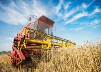 produção, agrícola, setor, produtivo, atividade, agrícola;