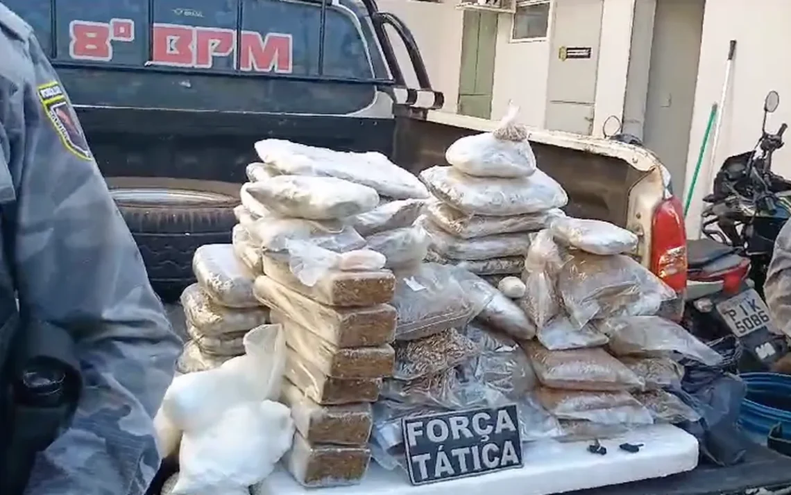 entorpecentes, maconha, cocaína;