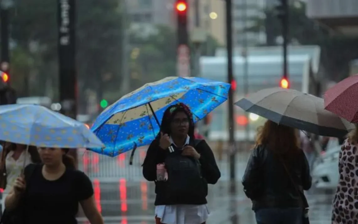 chuva, precipitação, pluvial;