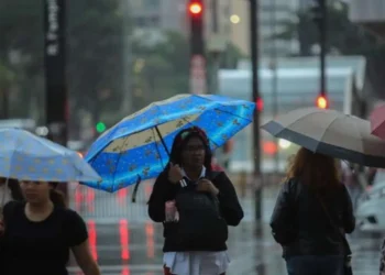 chuva, precipitação, pluvial;