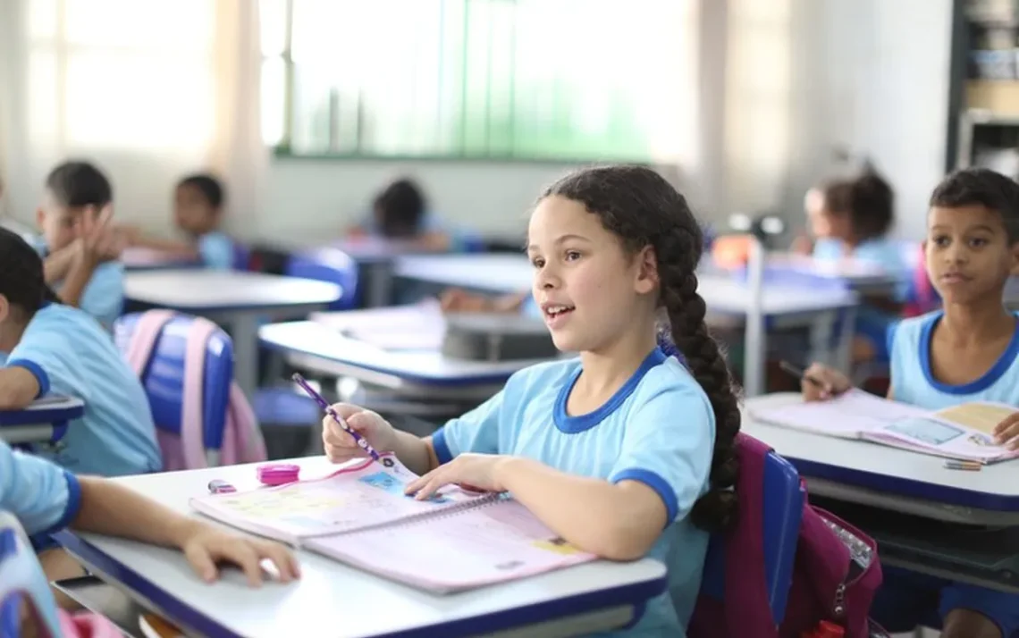 educação, básica, sistema, de ensino, ensino, superior';