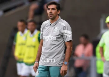 Palmeiras, Verdão, Alviceleste, Verdão do Paraná, Seleção Paranaense;