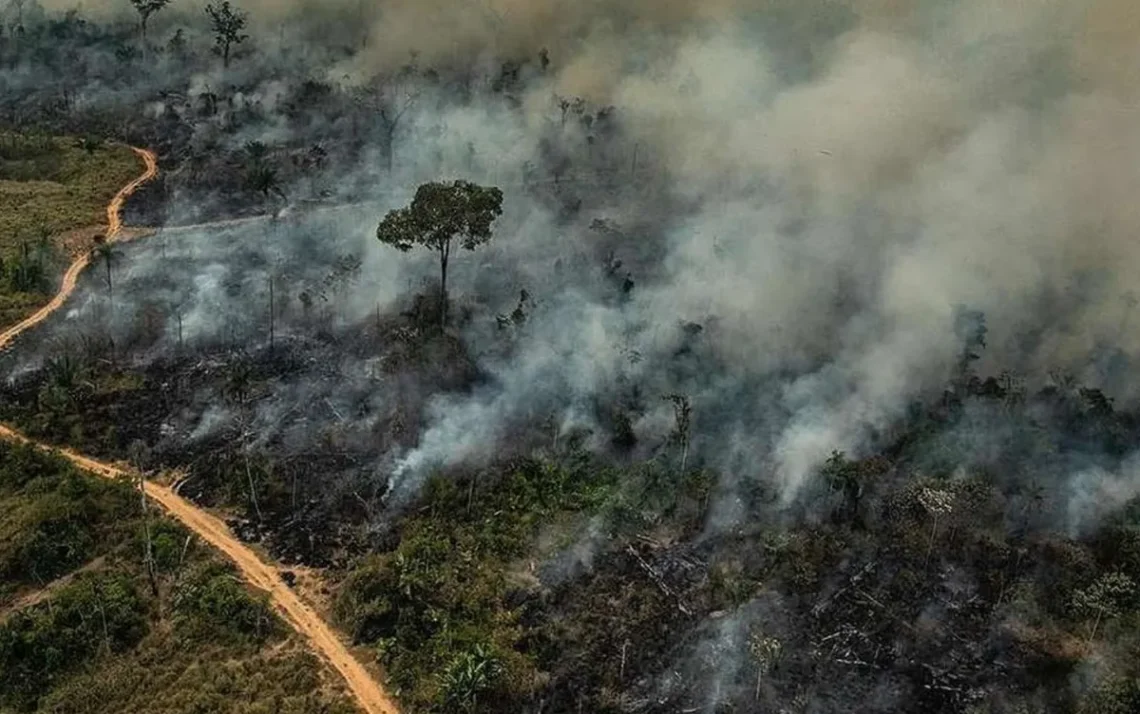 catástrofe, climática, desequilíbrio, ambiental, crise, proporcionada, eventos, climáticos extremos;