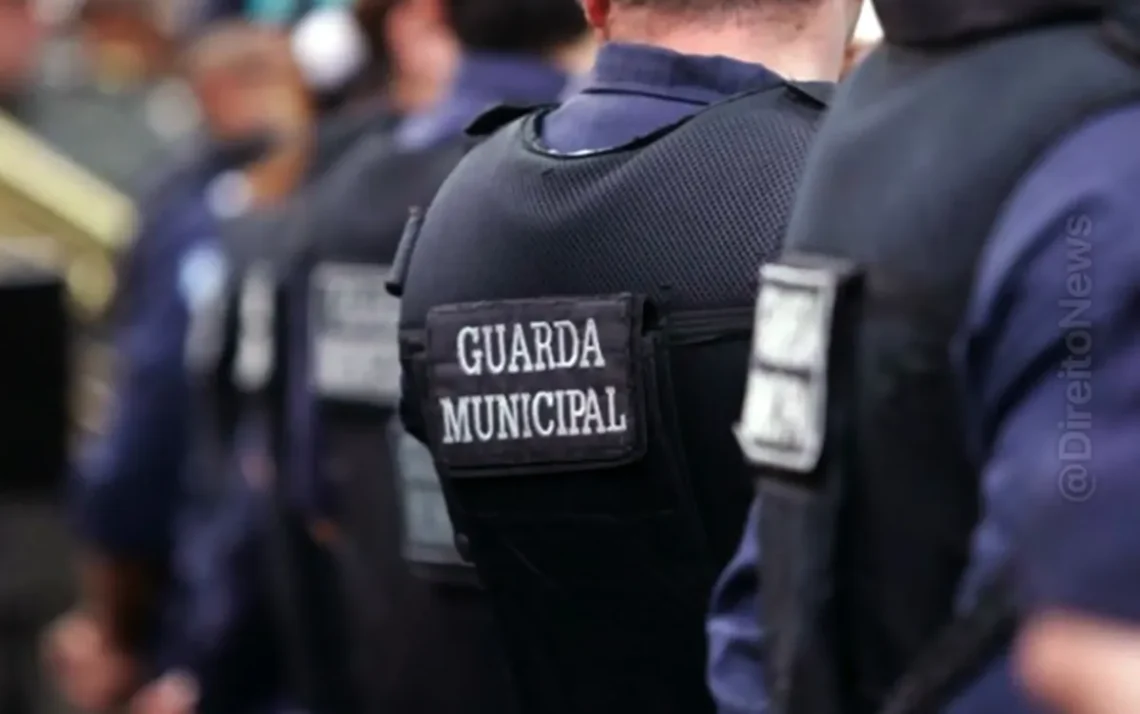 municipal, policialesca, segurança, pública;