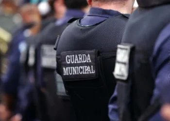 municipal, policialesca, segurança, pública;