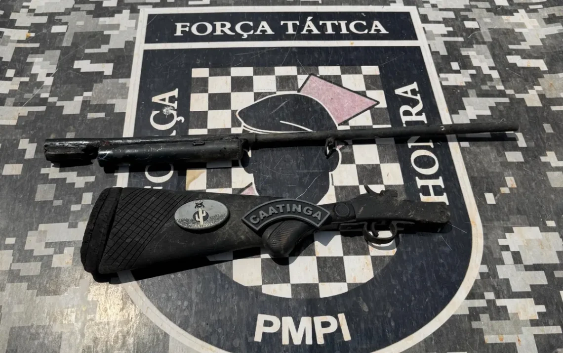 preso, arma, polícia