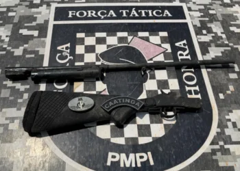 preso, arma, polícia