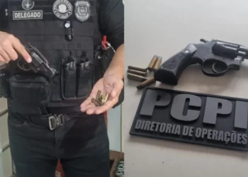 investigação, preso, mandado, arma, crime;