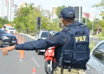 Não foram fornecidos;