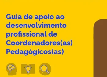 Ministério da Educação, Secretaria de Educação Básica, desenvolvimento profissional, política escolar;