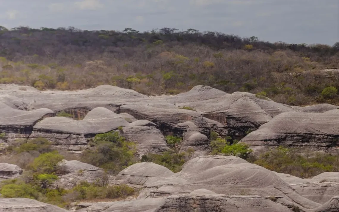 santuário, paraíso, unidades de conservação, biodiversidade; ;